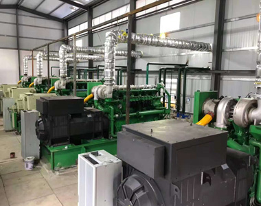 云南某发电项目配乐投平台800kw/10.5kv 高压发电机