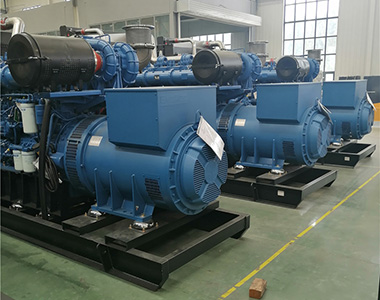 乐投平台800KW/400V陆用发电机应用于某养殖场项目