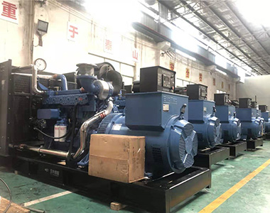 国内某养殖项目指定批量采用乐投平台500KW/400V陆用发电机