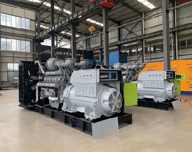 欧洲出口项目（帕金斯配乐投平台2台1250KW6300V高压发电机)