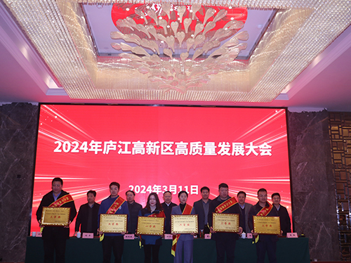 【喜报】乐投平台电气荣获2023年庐江高新区企业高质量发展一等奖！